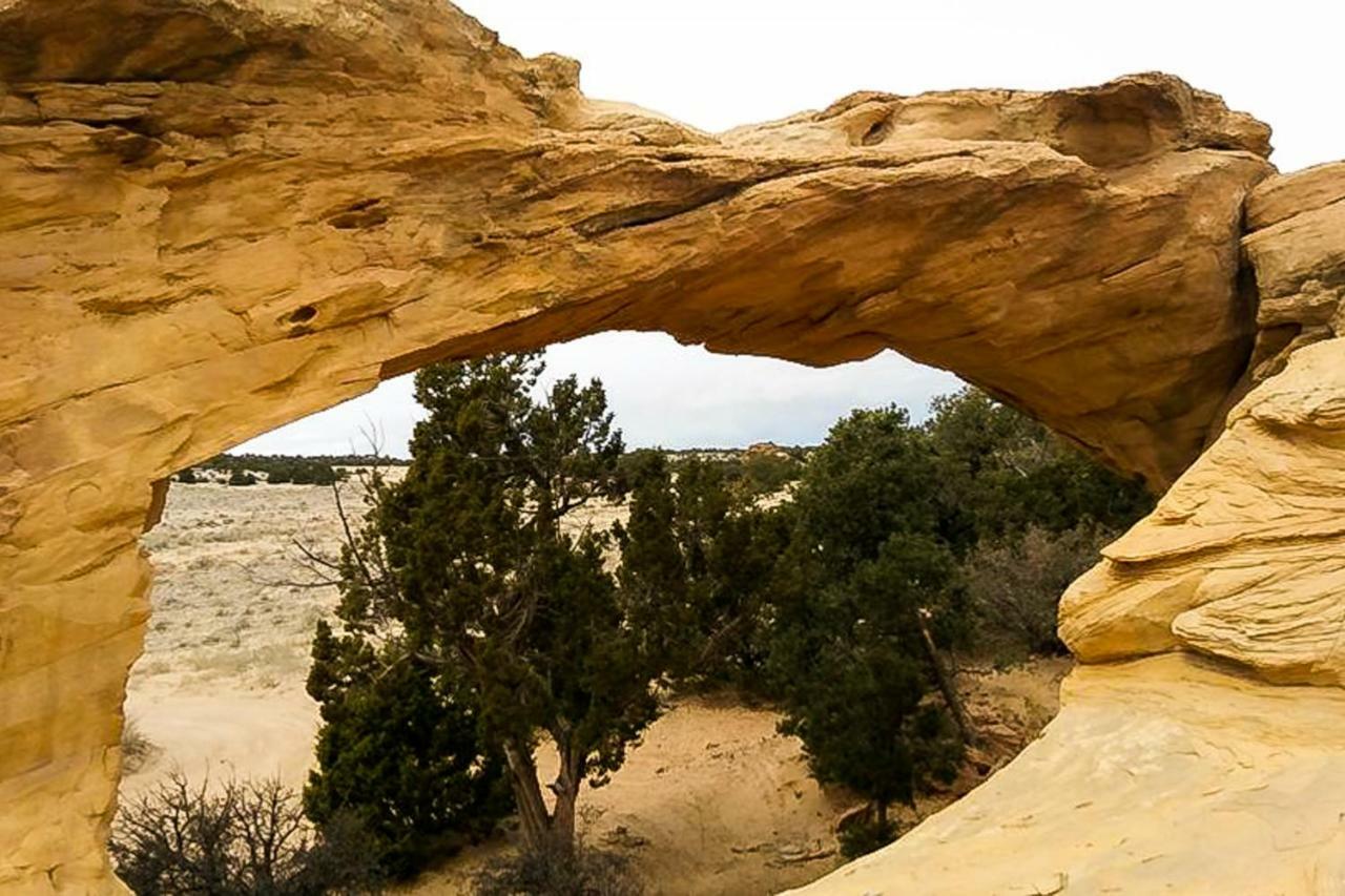 Rim Vista 9A8 Villa Moab Exteriör bild